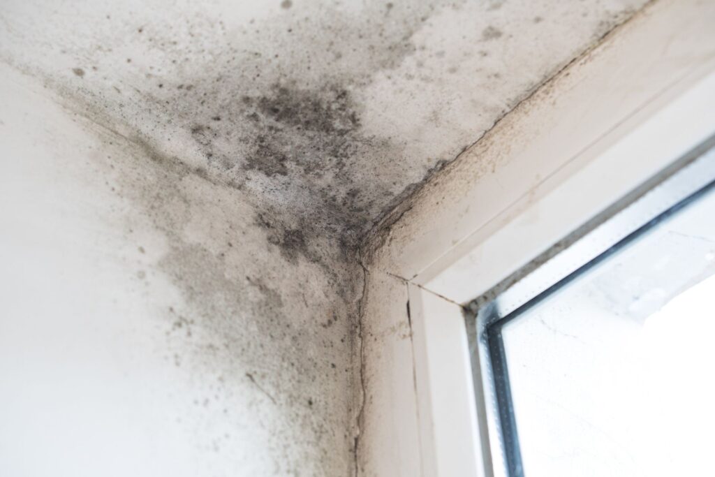 Corner of a white-walled room visibly soiled with black mould